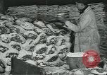 Image d'abattoirs United States USA, 1922, de la seconde 53 séquences d'archives historiques vidéo 65675057882