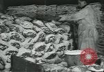 Image d'abattoirs United States USA, 1922, de la seconde 54 séquences d'archives historiques vidéo 65675057882