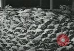 Image d'abattoirs United States USA, 1922, de la seconde 58 séquences d'archives historiques vidéo 65675057882