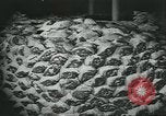 Image d'abattoirs United States USA, 1922, de la seconde 61 séquences d'archives historiques vidéo 65675057882