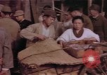 Standbild Markt Japan, 1946, aus Sekunde 18 historischem Filmmaterial Videoclip 65675057893