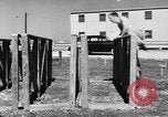 Image of Army Air Forces Aviation Cadet basic training United States USA, 1941, second 55 stock footage video 65675057898