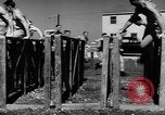 Image of Army Air Forces Aviation Cadet basic training United States USA, 1941, second 61 stock footage video 65675057898