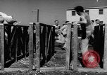 Image of Army Air Forces Aviation Cadet basic training United States USA, 1941, second 62 stock footage video 65675057898