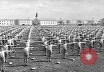 Image of Army Air Forces Aviation Cadets engage in calisthenics United States USA, 1941, second 14 stock footage video 65675057900