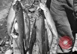 Image of Northwest US parks tourism and natural resources United States USA, 1942, second 36 stock footage video 65675057903