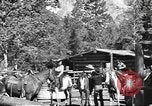 Image of Northwest US parks tourism and natural resources United States USA, 1942, second 38 stock footage video 65675057903