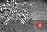 Standbild schwerfälligen Idaho United States USA, 1942, aus Sekunde 13 historischem Filmmaterial Videoclip 65675057904
