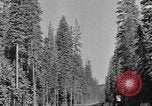 Standbild schwerfälligen Idaho United States USA, 1942, aus Sekunde 16 historischem Filmmaterial Videoclip 65675057904