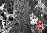 Standbild schwerfälligen Idaho United States USA, 1942, aus Sekunde 19 historischem Filmmaterial Videoclip 65675057904