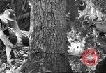 Standbild schwerfälligen Idaho United States USA, 1942, aus Sekunde 21 historischem Filmmaterial Videoclip 65675057904