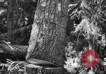 Standbild schwerfälligen Idaho United States USA, 1942, aus Sekunde 22 historischem Filmmaterial Videoclip 65675057904