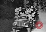 Standbild schwerfälligen Idaho United States USA, 1942, aus Sekunde 27 historischem Filmmaterial Videoclip 65675057904