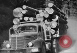 Standbild schwerfälligen Idaho United States USA, 1942, aus Sekunde 28 historischem Filmmaterial Videoclip 65675057904