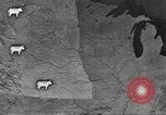 Immagine di Bestiame Northwestern United States USA, 1942, secondo 25 filmato di repertorio 65675057905