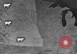 Immagine di Bestiame Northwestern United States USA, 1942, secondo 26 filmato di repertorio 65675057905