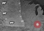Immagine di Bestiame Northwestern United States USA, 1942, secondo 27 filmato di repertorio 65675057905
