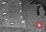 Immagine di Bestiame Northwestern United States USA, 1942, secondo 28 filmato di repertorio 65675057905
