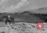 Immagine di Bestiame Northwestern United States USA, 1942, secondo 57 filmato di repertorio 65675057905