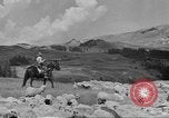 Immagine di Bestiame Northwestern United States USA, 1942, secondo 58 filmato di repertorio 65675057905