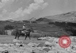 Immagine di Bestiame Northwestern United States USA, 1942, secondo 59 filmato di repertorio 65675057905