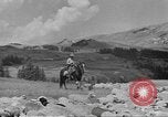 Immagine di Bestiame Northwestern United States USA, 1942, secondo 61 filmato di repertorio 65675057905