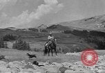 Immagine di Bestiame Northwestern United States USA, 1942, secondo 62 filmato di repertorio 65675057905