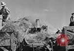 Image farms Northwestern United States USA, 1942, de la seconde 40 séquences d'archives historiques vidéo 65675057906