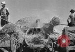 Image farms Northwestern United States USA, 1942, de la seconde 41 séquences d'archives historiques vidéo 65675057906
