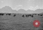 Standbild Nordwestlichen Region von Amerika United States USA, 1942, aus Sekunde 58 historischem Filmmaterial Videoclip 65675057907