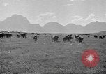 Standbild Nordwestlichen Region von Amerika United States USA, 1942, aus Sekunde 59 historischem Filmmaterial Videoclip 65675057907