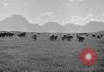 Standbild Nordwestlichen Region von Amerika United States USA, 1942, aus Sekunde 60 historischem Filmmaterial Videoclip 65675057907