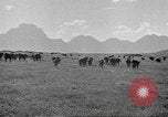 Standbild Nordwestlichen Region von Amerika United States USA, 1942, aus Sekunde 61 historischem Filmmaterial Videoclip 65675057907