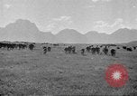Standbild Nordwestlichen Region von Amerika United States USA, 1942, aus Sekunde 62 historischem Filmmaterial Videoclip 65675057907
