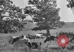 Standbild Betriebe und Industrie von Midwest USA Midwest United States USA, 1942, aus Sekunde 35 historischem Filmmaterial Videoclip 65675057908