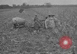 Standbild Betriebe und Industrie von Midwest USA Midwest United States USA, 1942, aus Sekunde 40 historischem Filmmaterial Videoclip 65675057908