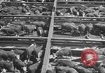 Standbild Betriebe und Industrie von Midwest USA Midwest United States USA, 1942, aus Sekunde 51 historischem Filmmaterial Videoclip 65675057908