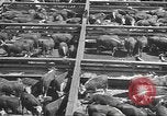 Standbild Betriebe und Industrie von Midwest USA Midwest United States USA, 1942, aus Sekunde 52 historischem Filmmaterial Videoclip 65675057908