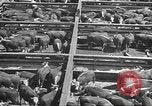 Standbild Betriebe und Industrie von Midwest USA Midwest United States USA, 1942, aus Sekunde 53 historischem Filmmaterial Videoclip 65675057908