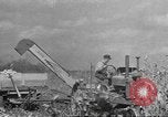 Standbild Mais Industrie Midwest United States USA, 1942, aus Sekunde 1 historischem Filmmaterial Videoclip 65675057910
