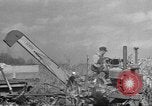Standbild Mais Industrie Midwest United States USA, 1942, aus Sekunde 3 historischem Filmmaterial Videoclip 65675057910