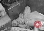 Standbild Mais Industrie Midwest United States USA, 1942, aus Sekunde 9 historischem Filmmaterial Videoclip 65675057910