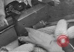 Standbild Mais Industrie Midwest United States USA, 1942, aus Sekunde 12 historischem Filmmaterial Videoclip 65675057910