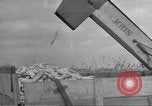 Standbild Mais Industrie Midwest United States USA, 1942, aus Sekunde 13 historischem Filmmaterial Videoclip 65675057910