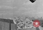 Standbild Mais Industrie Midwest United States USA, 1942, aus Sekunde 16 historischem Filmmaterial Videoclip 65675057910