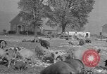 Standbild Mais Industrie Midwest United States USA, 1942, aus Sekunde 17 historischem Filmmaterial Videoclip 65675057910