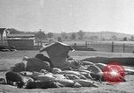 Standbild Mais Industrie Midwest United States USA, 1942, aus Sekunde 18 historischem Filmmaterial Videoclip 65675057910