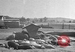 Standbild Mais Industrie Midwest United States USA, 1942, aus Sekunde 19 historischem Filmmaterial Videoclip 65675057910