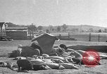 Standbild Mais Industrie Midwest United States USA, 1942, aus Sekunde 20 historischem Filmmaterial Videoclip 65675057910