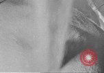 Standbild Mais Industrie Midwest United States USA, 1942, aus Sekunde 44 historischem Filmmaterial Videoclip 65675057910